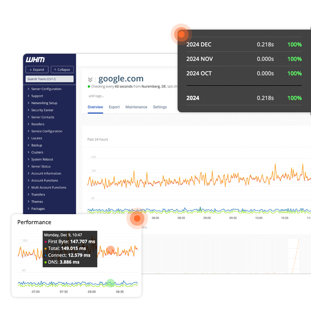 Website Monitoring